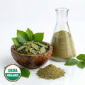 CERTIFIED ORGANIC BEECH LEAF POWDER