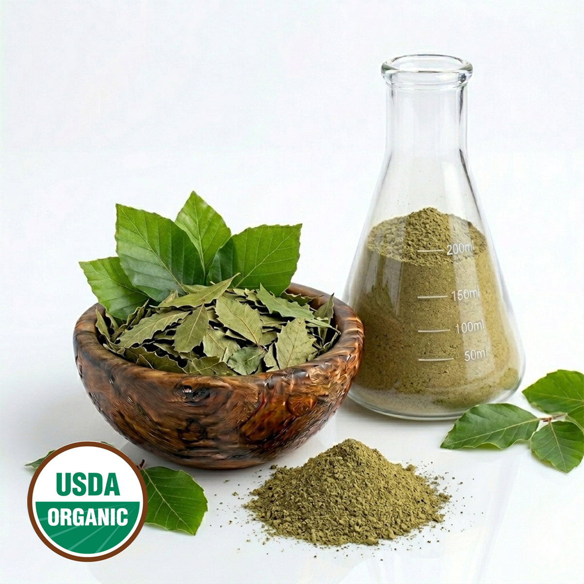 CERTIFIED ORGANIC BEECH LEAF POWDER