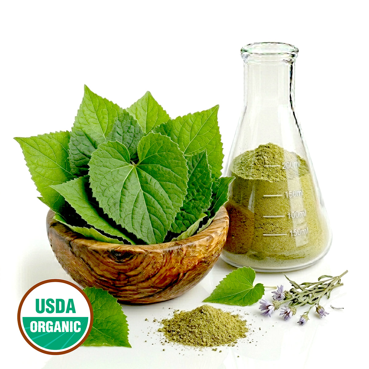 CERTIFIED ORGANIC BIG LEAF ASTER POWDER