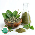 CERTIFIED ORGANIC PLANTAIN MAJOR POWDER