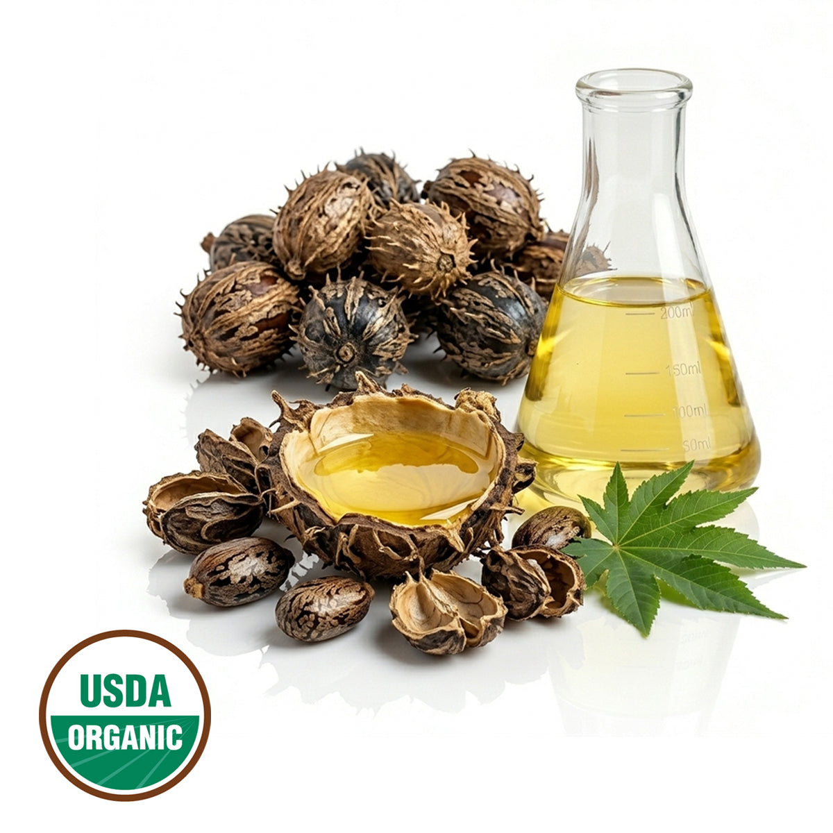 Castor Oil - Refined