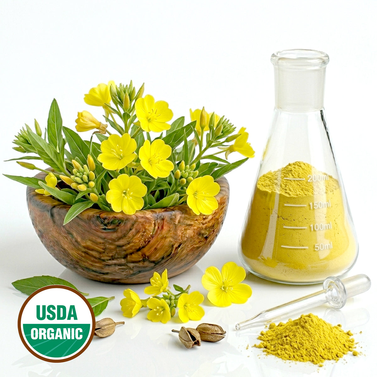 CERTIFIED ORGANIC EVENING PRIMROSE BUDS POWDER