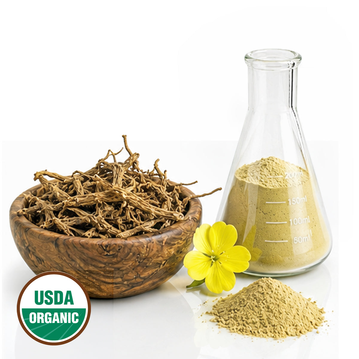 CERTIFIED ORGANIC EVENING PRIMROSE ROOT POWDER