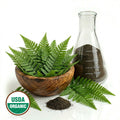 CERTIFIED ORGANIC FERN POWDER