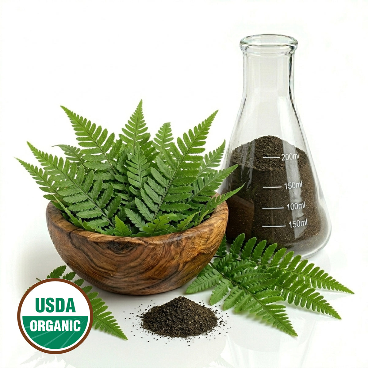 CERTIFIED ORGANIC FERN POWDER