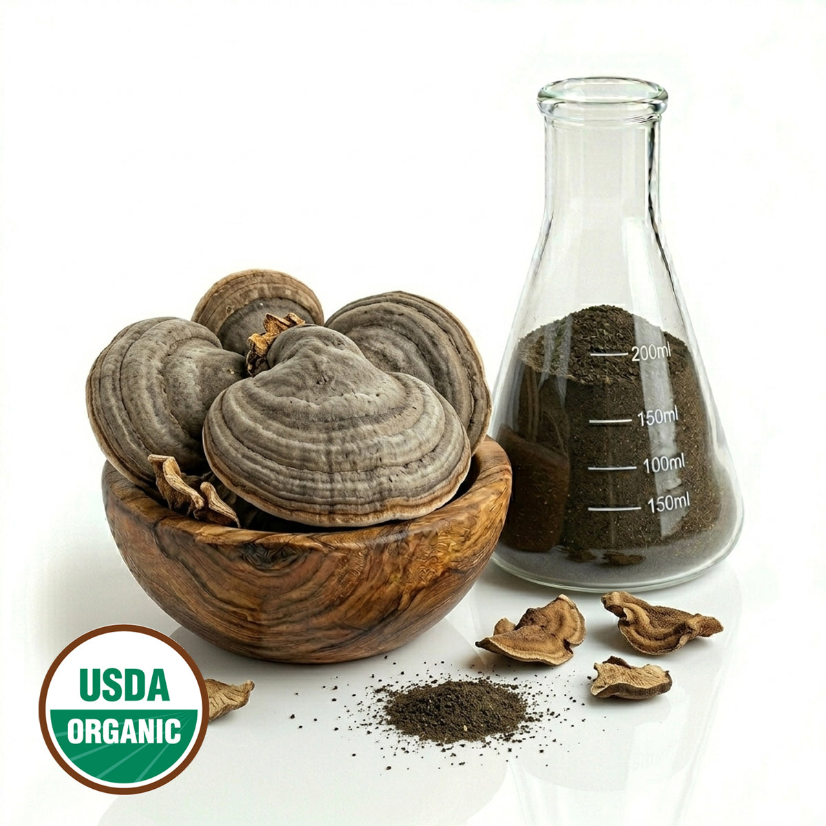 CERTIFIED ORGANIC HORSE HOOF MUSHROOM POWDER
