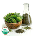 CERTIFIED ORGANIC MOSS POWDER